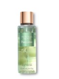 24-Vs Vücut Sprey Pear Glace
