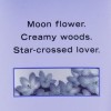 Midnight Bloom