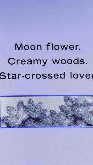 Midnight Bloom